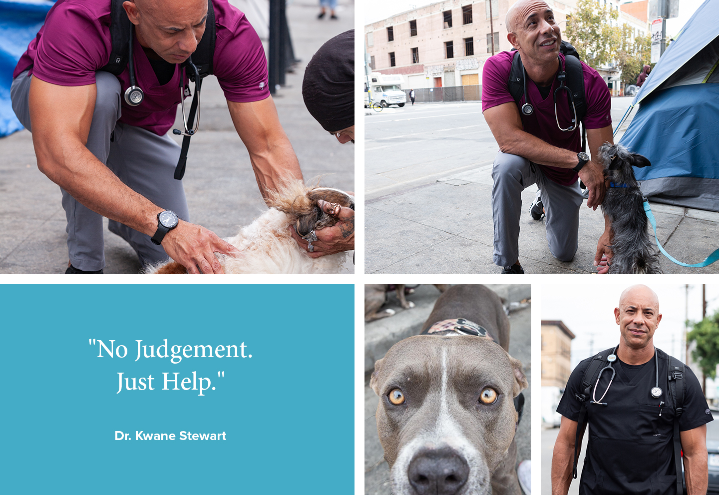 no judgment. just help. -dr kwane stewart