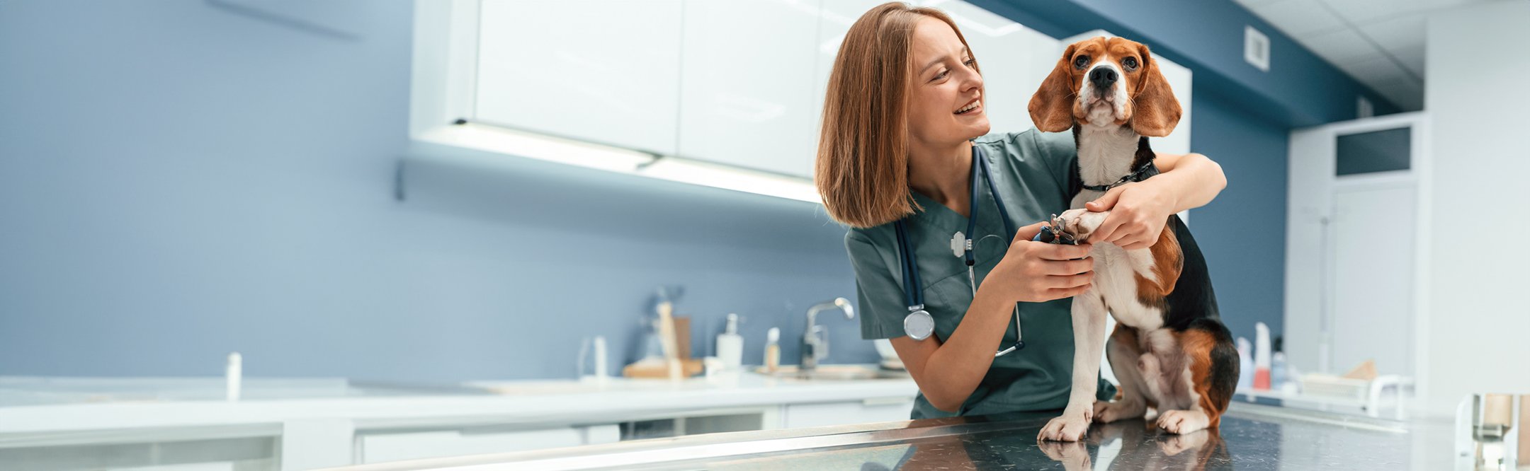 Best Scrubs for Vet Techs: Comfort Meets Function