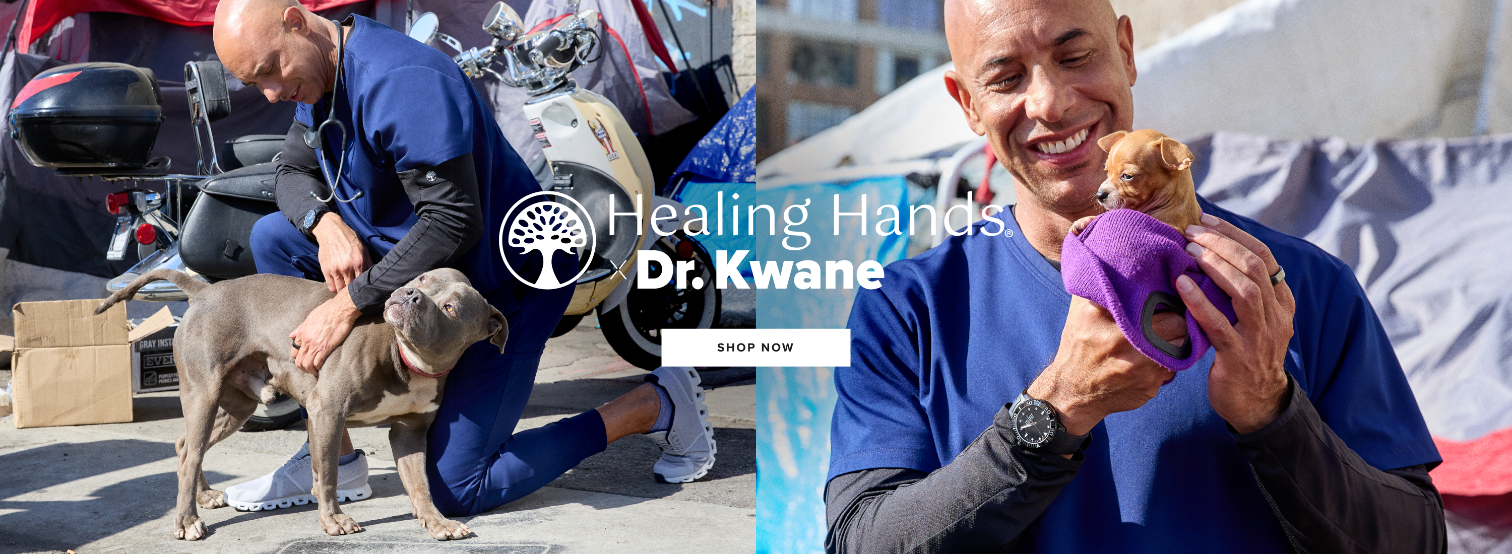 Healing Hands
x Dr. Kwane