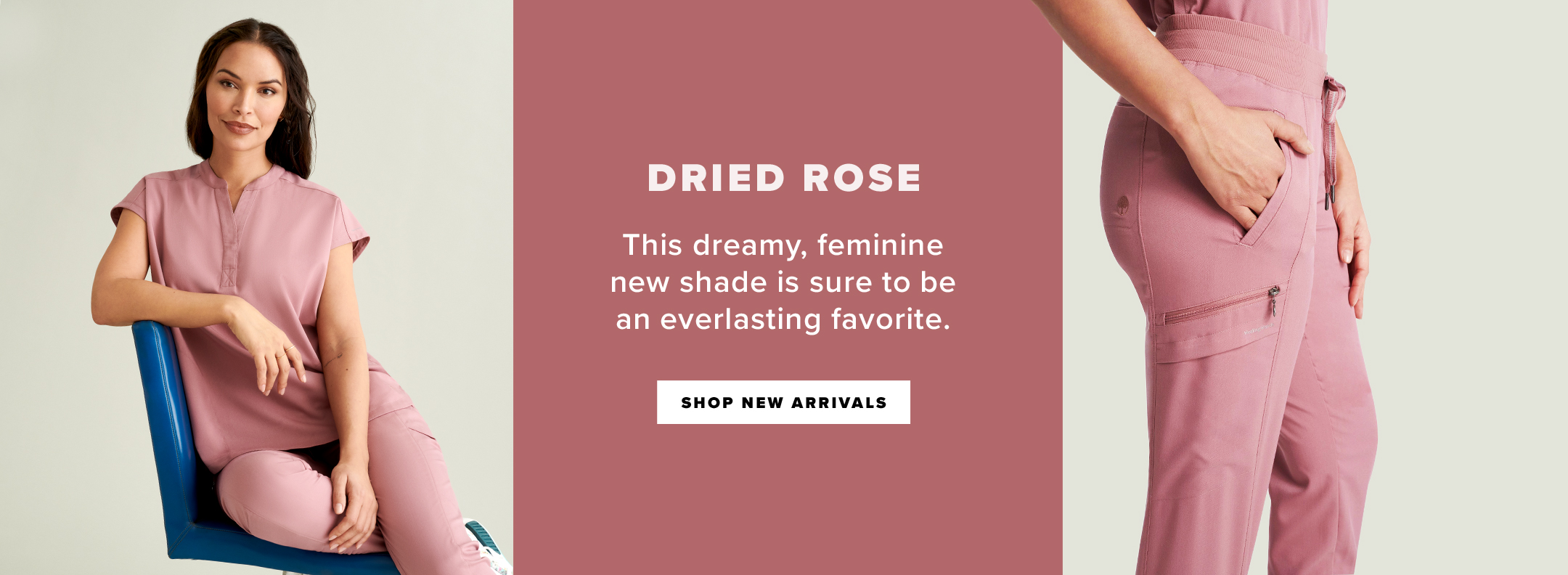 Shop Dried Rose Color