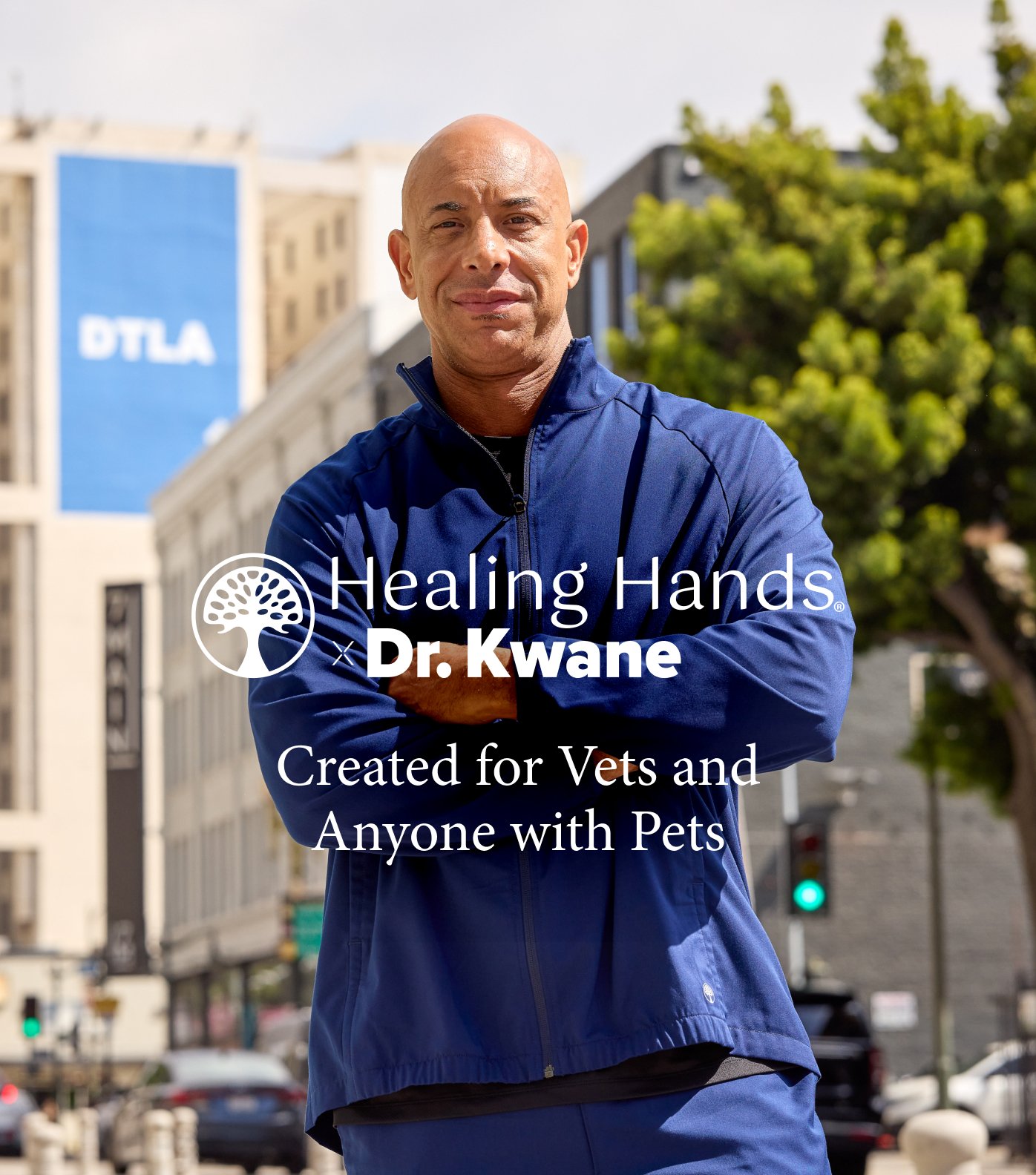 dr. kwane x healing hands. created for vets and anyone with pets.
